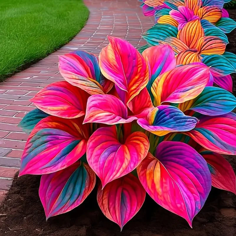 💥LAST DAY SALE 50%OFF🌿Premium Rare Hosta Seeds | 2026 New Arrivals from Los Angeles Flower District