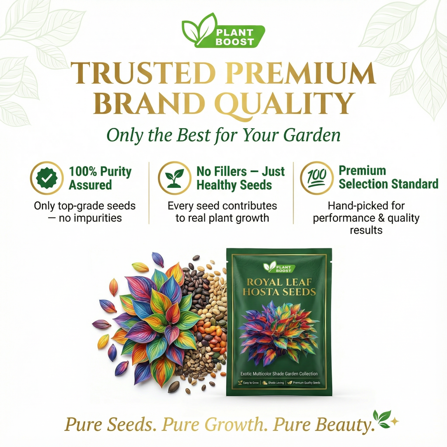 💥LAST DAY SALE 50%OFF🌿Premium Rare Hosta Seeds | 2026 New Arrivals from Los Angeles Flower District